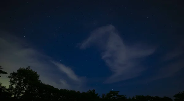 夜晚，静冈森林里星空闪烁 — 图库照片