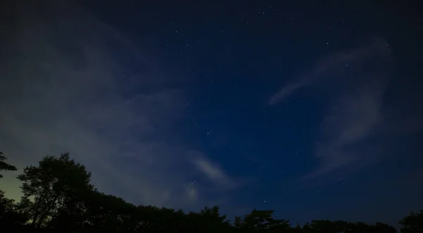 밤에 시즈오카의 숲 속의 별 이 총 총 한 하늘 — 스톡 사진