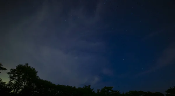 夜晚，静冈森林里星空闪烁 — 图库照片
