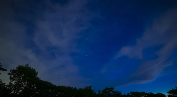 Ένας έναστρος ουρανός στο δάσος στη Σιζουόκα τη νύχτα — Φωτογραφία Αρχείου