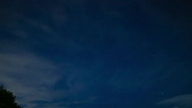 Gece Shizuoka 'daki ormanda yıldızlı bir gökyüzü zamanı.