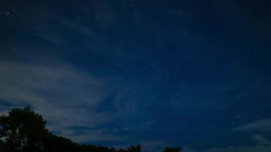Gece Shizuoka 'daki ormanda yıldızlı bir gökyüzü zamanı.