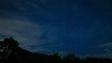 Gece Shizuoka 'daki ormanda yıldızlı bir gökyüzü zamanı.