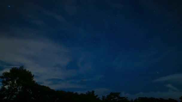 Een timelapse van de sterrenhemel in het woud in Shizuoka 's nachts — Stockvideo
