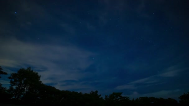 Время звездного неба в лесу в Сидзуоке ночью. — стоковое видео