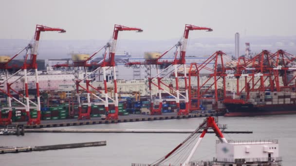 Движущийся кран в районе залива в Токио — стоковое видео