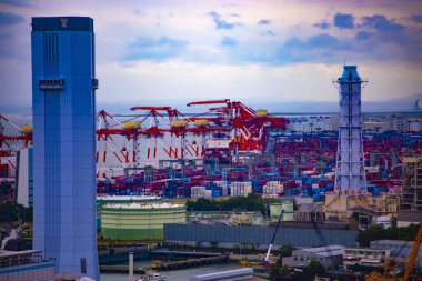 Tokyo 'daki körfez bölgesinde hareket eden bir vinç.
