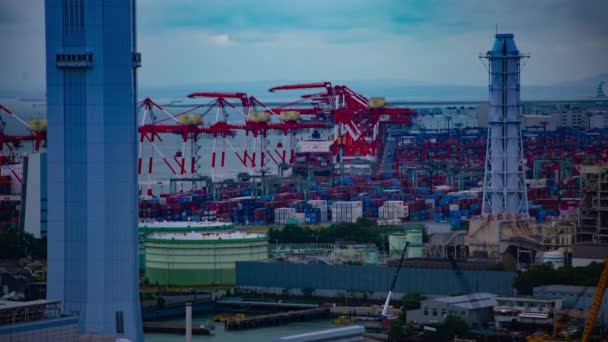 A timelapse of moving cranes at the bay area in Tokyo wide shot — Stock Video