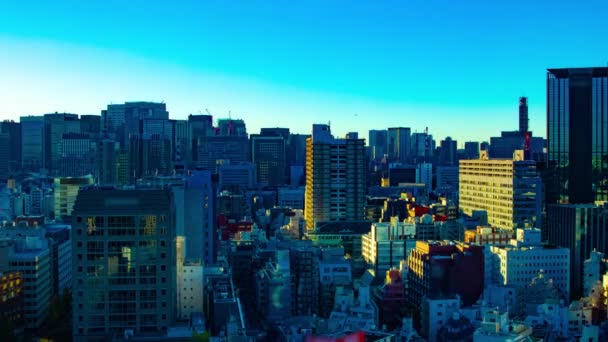 東京都内の都市の街並みをタイムラプスし、高角度のパンニングを撮影 — ストック動画