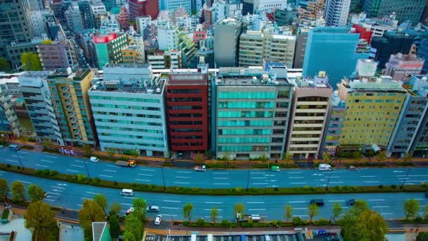 En timelapse av gatan vid den urbana staden i Tokyo hög vinkel bred skott — Stockvideo