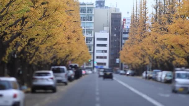 Переход на улице гинкго в Токио осенью — стоковое видео