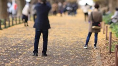 Sonbaharda Tokyo 'daki ginkgo caddesinde yürüyen insanlar