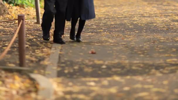 Прогулки на улице гинкго в Токио осенью — стоковое видео