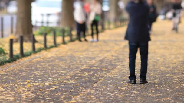 Περπάτημα άνθρωποι στο δρόμο ginkgo στο Τόκιο το φθινόπωρο — Αρχείο Βίντεο