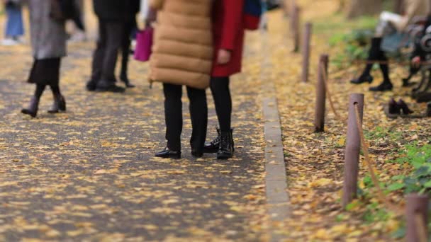 Sétáló emberek Tokióban a Ginkgo utcában ősszel — Stock videók