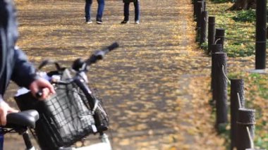 Sonbaharda Tokyo 'daki ginkgo caddesinde yürüyen insanlar