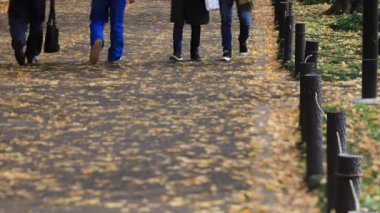 Sonbaharda Tokyo 'daki ginkgo caddesinde yürüyen insanlar