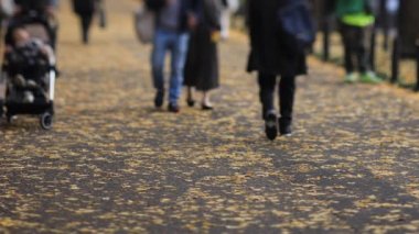 Sonbaharda Tokyo 'daki ginkgo caddesinde yürüyen insanlar
