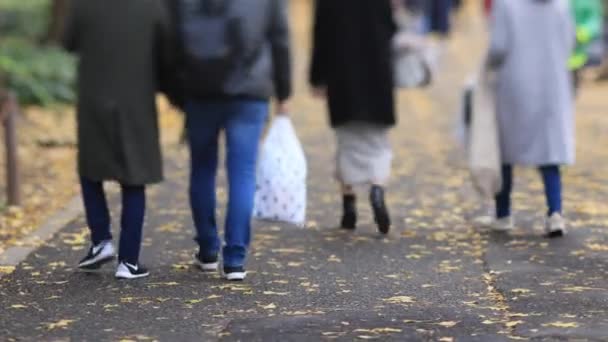 Walking ludzi na ulicy ginkgo w Tokio jesienią — Wideo stockowe