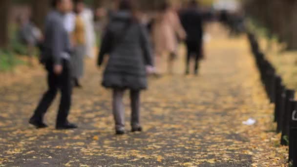 Caminar a la gente en la calle ginkgo en Tokio en otoño — Vídeo de stock