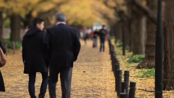 Walking ludzi na ulicy ginkgo w Tokio jesienią — Wideo stockowe