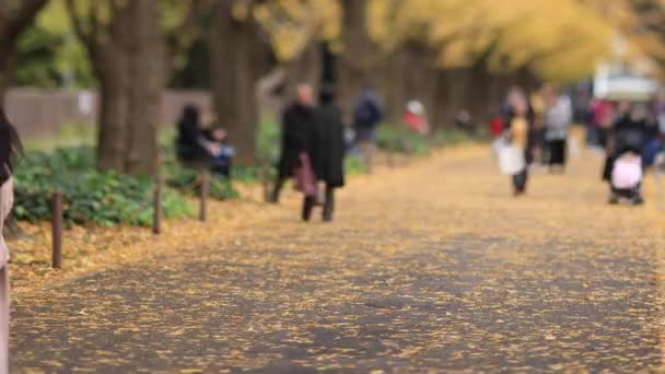 Περπάτημα άνθρωποι στο δρόμο ginkgo στο Τόκιο το φθινόπωρο — Αρχείο Βίντεο