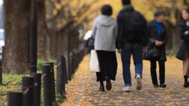 Sonbaharda Tokyo 'daki ginkgo caddesinde yürüyen insanlar