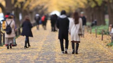 Sonbaharda Tokyo 'daki ginkgo caddesinde yürüyen insanlar