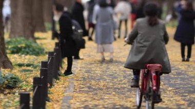 Sonbaharda Tokyo 'daki ginkgo caddesinde yürüyen insanlar