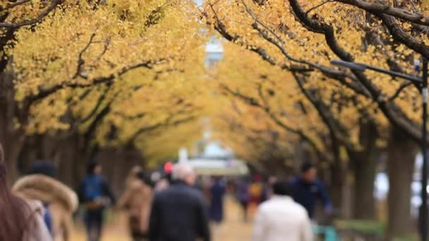 Caminhando pessoas na rua ginkgo em Tóquio no outono — Vídeo de Stock