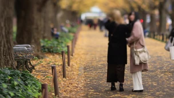 Chodící lidé v ulici Ginkgo v Tokiu na podzim — Stock video