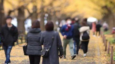 Sonbaharda Tokyo 'daki ginkgo caddesinde yürüyen insanlar