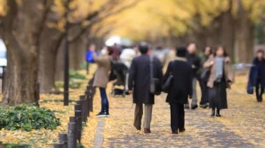 Sonbaharda Tokyo 'daki ginkgo caddesinde yürüyen insanlar