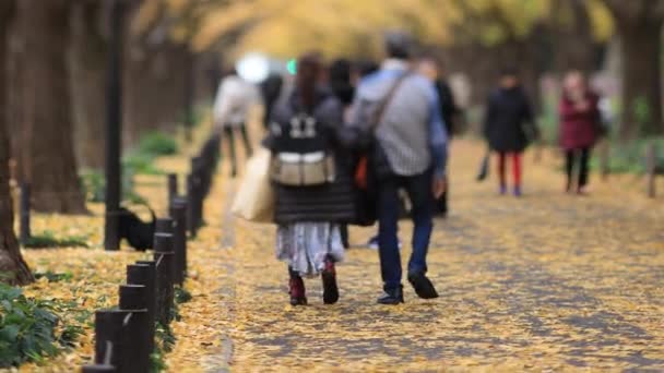 Прогулюватися людьми на вулиці гінкго в Токіо восени. — стокове відео