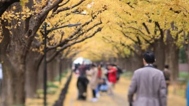 Sonbaharda Tokyo 'daki ginkgo caddesinde yürüyen insanlar
