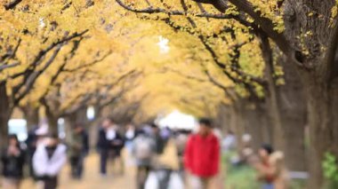 Sonbaharda Tokyo 'daki ginkgo caddesinde yürüyen insanlar