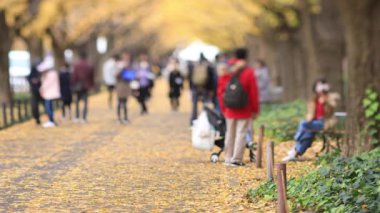 Sonbaharda Tokyo 'daki ginkgo caddesinde yürüyen insanlar