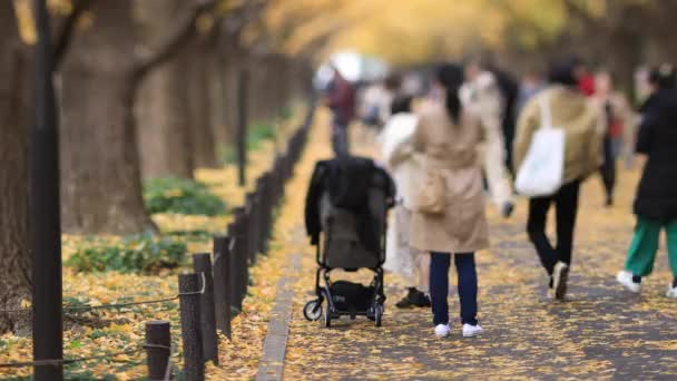 Walking ludzi na ulicy ginkgo w Tokio jesienią — Wideo stockowe