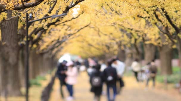 Caminhando pessoas na rua ginkgo em Tóquio no outono — Vídeo de Stock