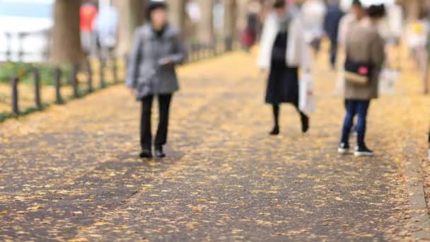 Promenader människor på ginkgo gatan i Tokyo på hösten — Stockvideo