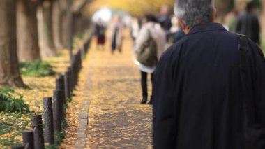 Sonbaharda Tokyo 'daki ginkgo caddesinde yürüyen insanlar