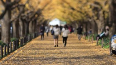Sonbaharda Tokyo 'daki ginkgo caddesinde yürüyen insanlar