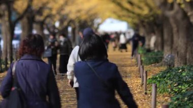 Sonbaharda Tokyo 'daki ginkgo caddesinde yürüyen insanlar