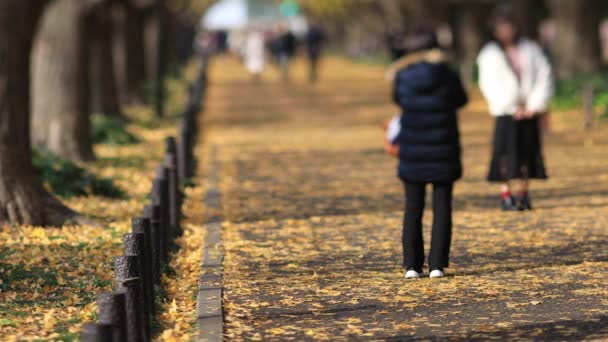 Spaziergänger auf der Ginkgo-Straße in Tokio im Herbst — Stockvideo