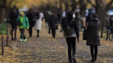 Sonbaharda Tokyo 'daki ginkgo caddesinde yürüyen insanlar