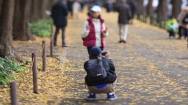 Sonbaharda Tokyo 'daki ginkgo caddesinde yürüyen insanlar