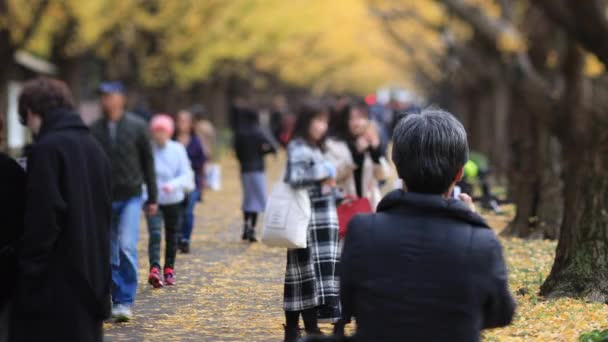 Sonbaharda Tokyo 'daki ginkgo caddesinde yürüyen insanlar — Stok video