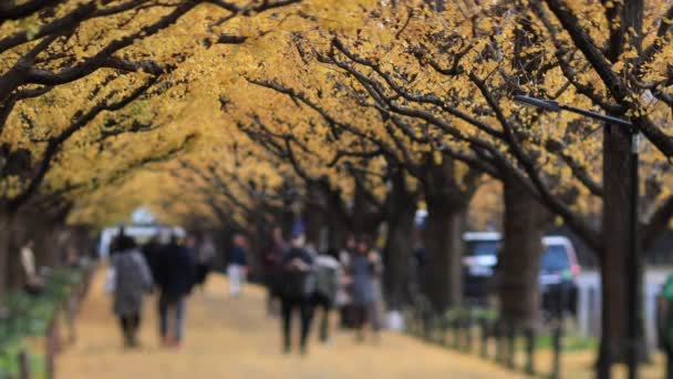 Spaziergänger auf der Ginkgo-Straße in Tokio im Herbst — Stockvideo