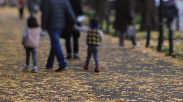 Promenader människor på ginkgo gatan i Tokyo på hösten — Stockvideo