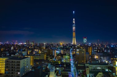 Tokyo 'daki şehir merkezinde bir gece Tokyo gökyüzü ağacı.